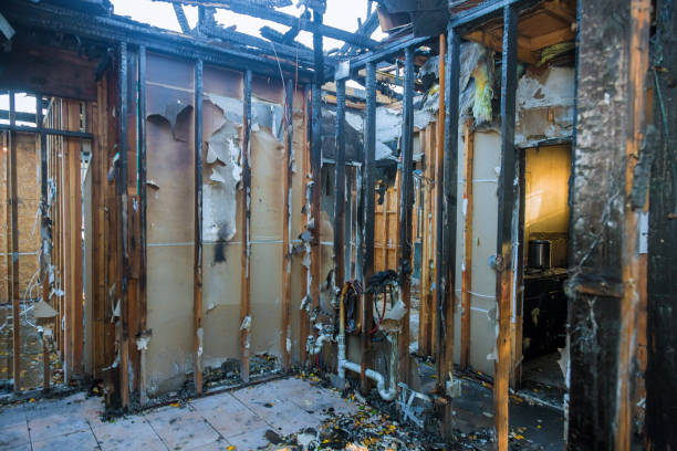 Professional Smoke Damage Removal technician working in Falconer, NY